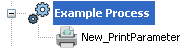 The new print parameter under example process.